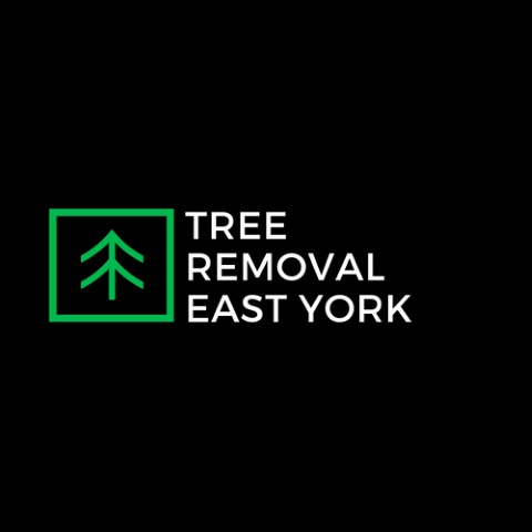 Tree Removal East York